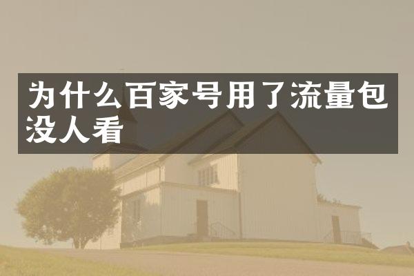 为什么百家号用了流量包没人看