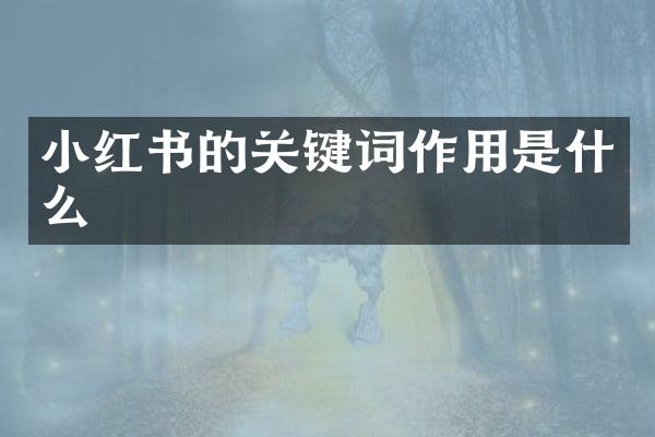 小红书的关键词作用是什么