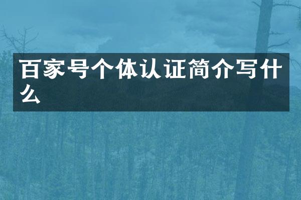 百家号个体认证简介写什么