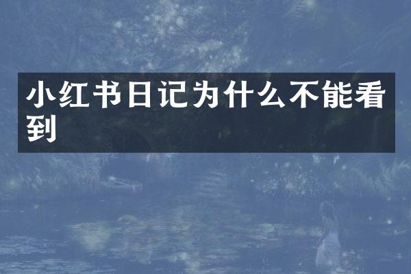 小红书日记为什么不能看到