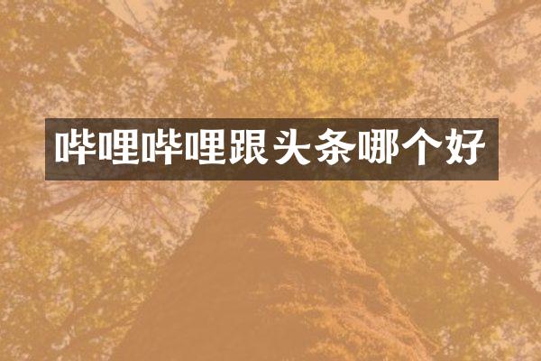 哔哩哔哩跟头条哪个好