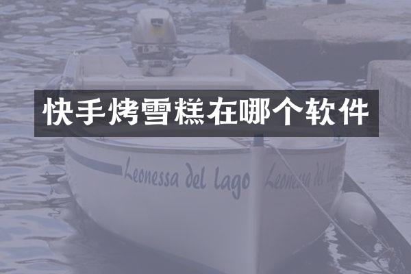 快手烤雪糕在哪个软件