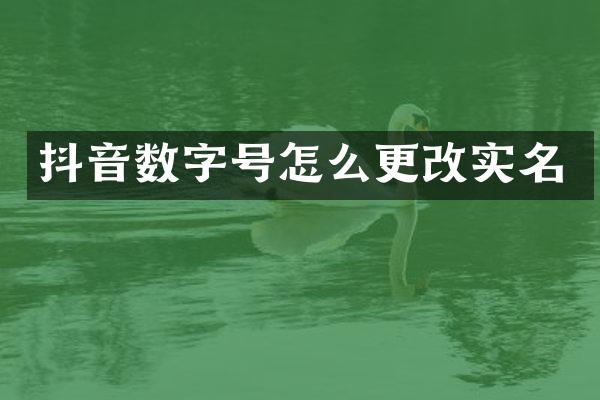 抖音数字号怎么更改实名