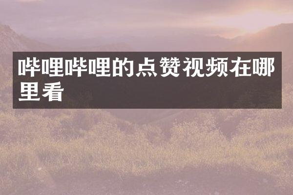 哔哩哔哩的点赞视频在哪里看