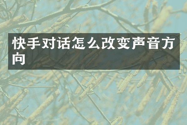 快手对话怎么改变声音方向
