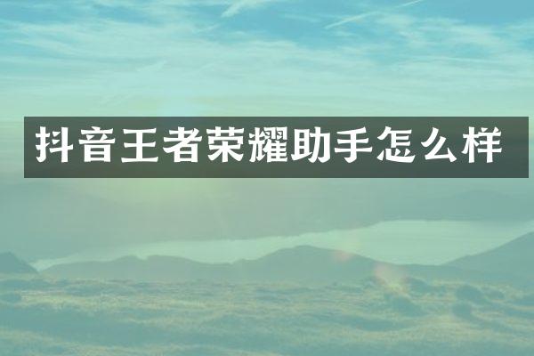 抖音王者荣耀助手怎么样
