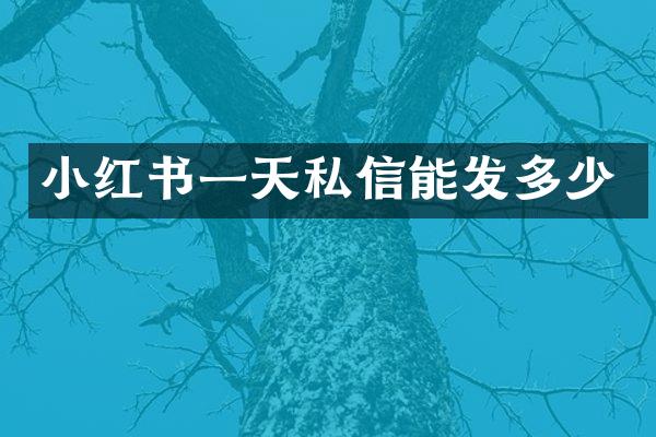 小红书一天私信能发多少
