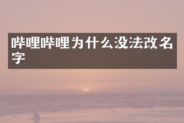 哔哩哔哩为什么没法改名字