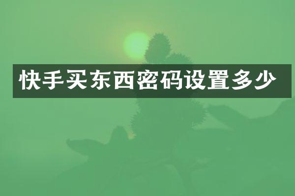 快手买东西密码设置多少