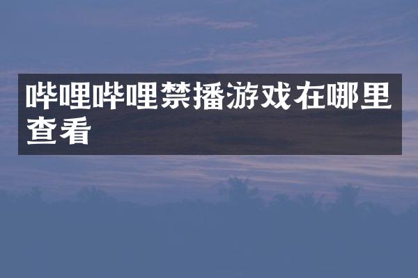 哔哩哔哩游戏在哪里查看