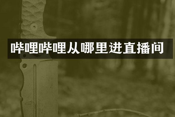 哔哩哔哩从哪里进直播间