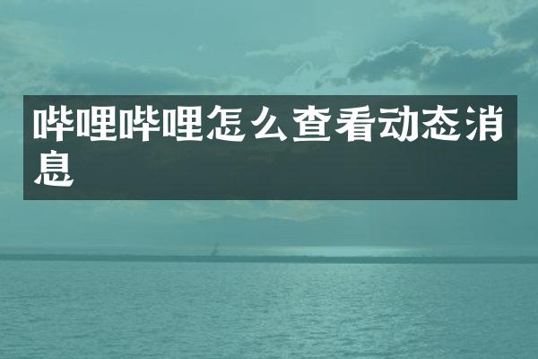 哔哩哔哩怎么查看动态消息