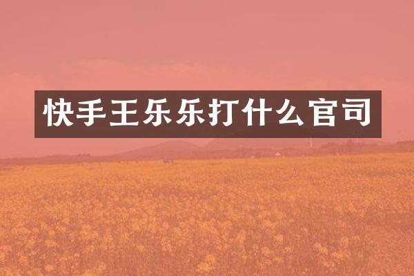 快手王乐乐打什么官司
