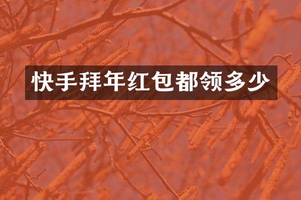 快手拜年红包都领多少