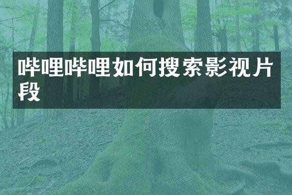 哔哩哔哩如何搜索影视片段