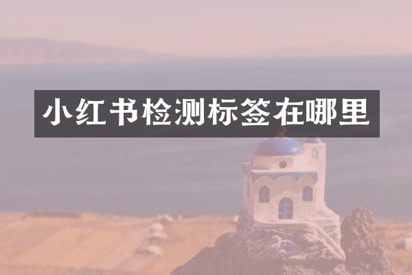 小红书检测标签在哪里