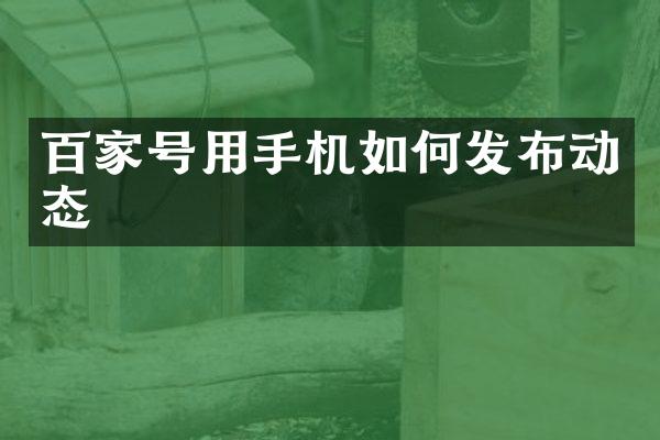 百家号用手机如何发布动态