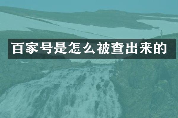 百家号是怎么被查出来的