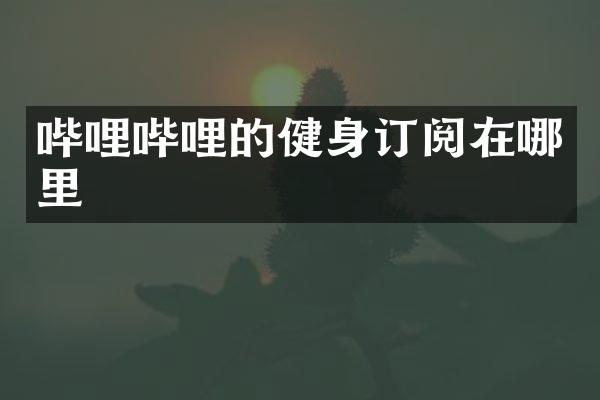 哔哩哔哩的健身订阅在哪里