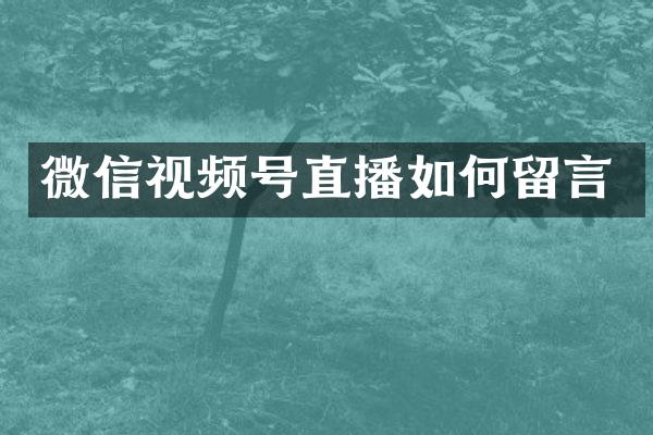 微信视频号直播如何留言