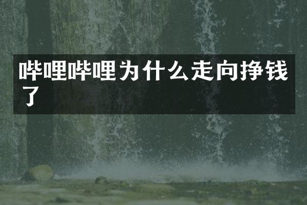 哔哩哔哩为什么走向挣钱了