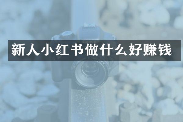 新人小红书做什么好赚钱