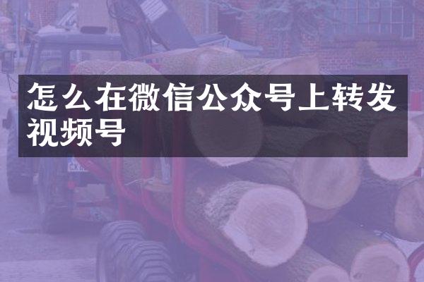 怎么在微信公众号上转发视频号