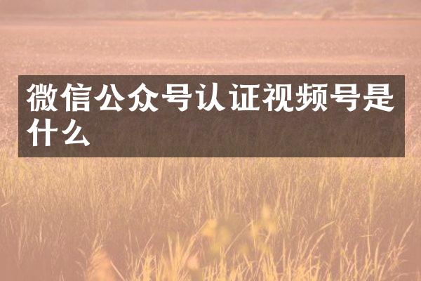 微信公众号认证视频号是什么