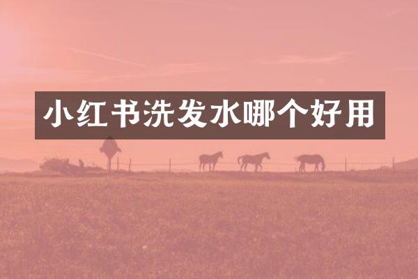 小红书洗发水哪个好用