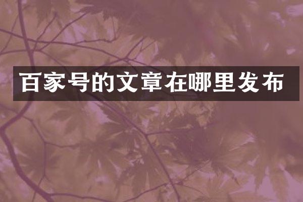百家号的文章在哪里发布