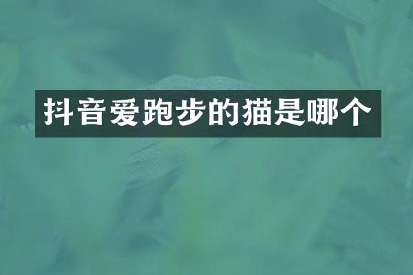 抖音爱跑步的猫是哪个