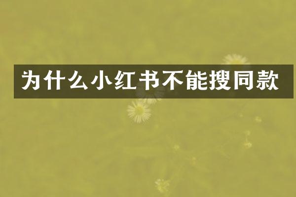 为什么小红书不能搜同款