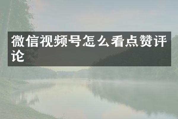 微信视频号怎么看点赞评论