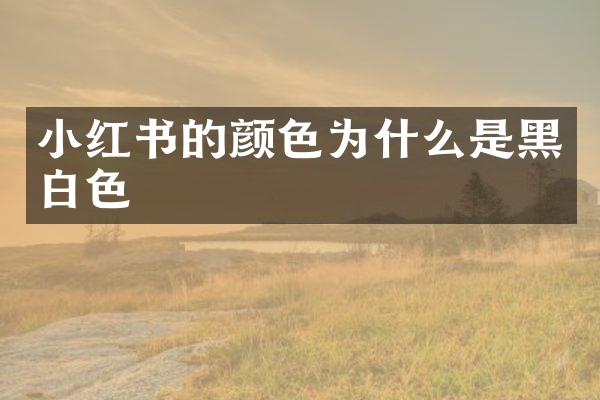 小红书的颜色为什么是黑白色