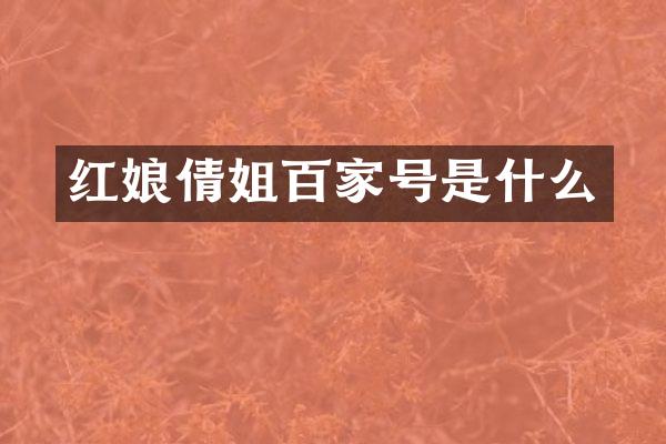 红娘倩姐百家号是什么