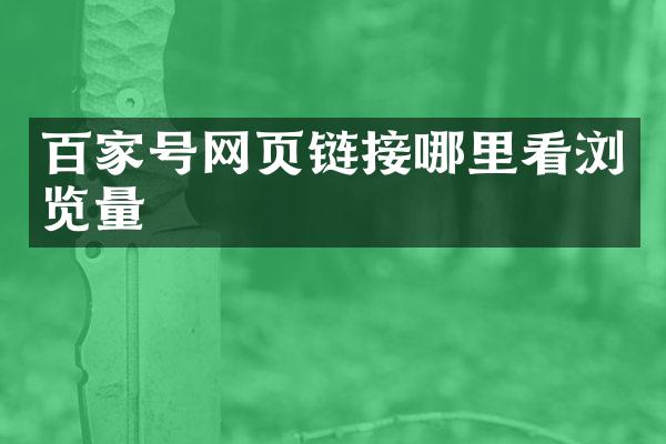 百家号网页链接哪里看浏览量