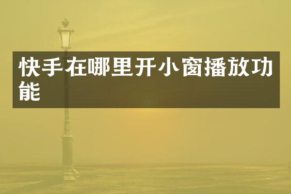 快手在哪里开小窗播放功能