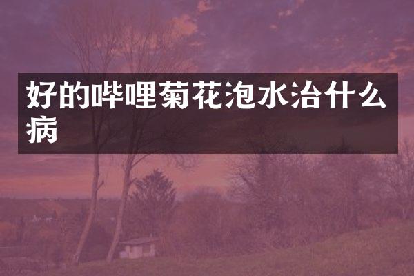 好的哔哩菊花泡水治什么病