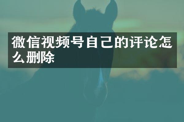 微信视频号自己的评论怎么删除