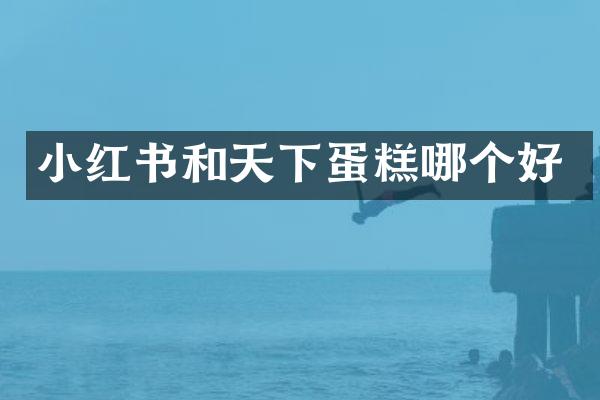 小红书和天下蛋糕哪个好