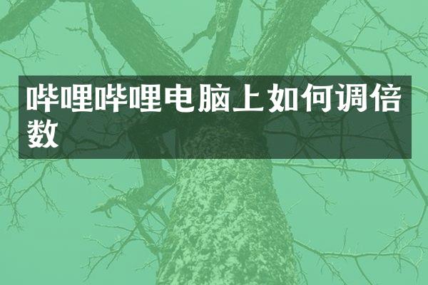 哔哩哔哩电脑上如何调倍数