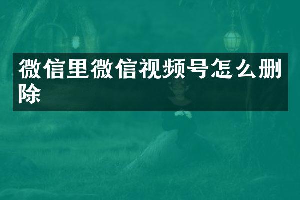 微信里微信视频号怎么删除