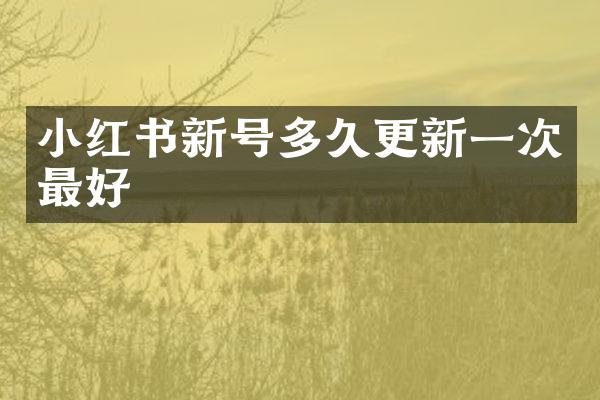 小红书新号多久更新一次最好