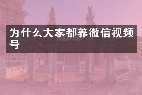 为什么大家都养微信视频号