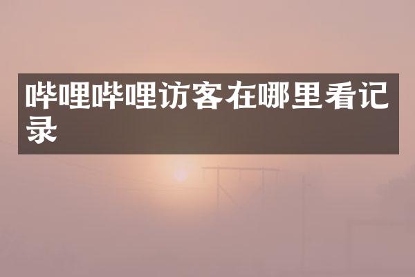 哔哩哔哩访客在哪里看记录