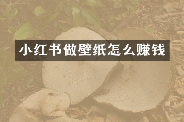 小红书做壁纸怎么赚钱