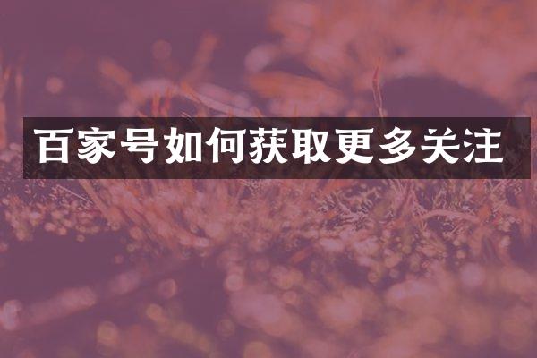 百家号如何获取更多关注