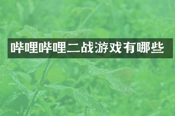 哔哩哔哩二战游戏有哪些