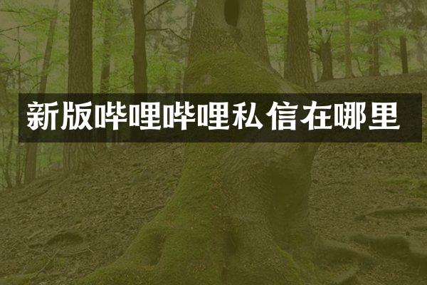 新版哔哩哔哩私信在哪里