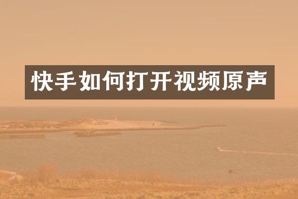 快手如何打开视频原声